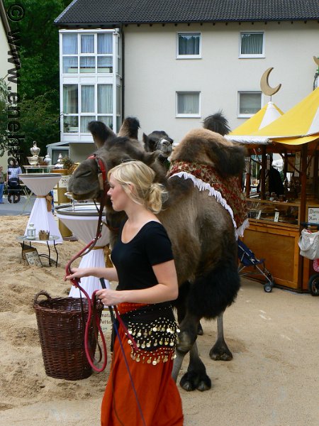 Mittelaltermark_Altena_2011 (179).jpg